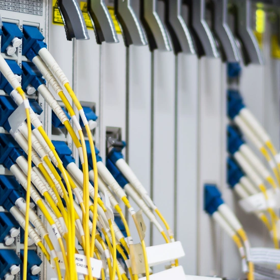 Netztypen entdecken